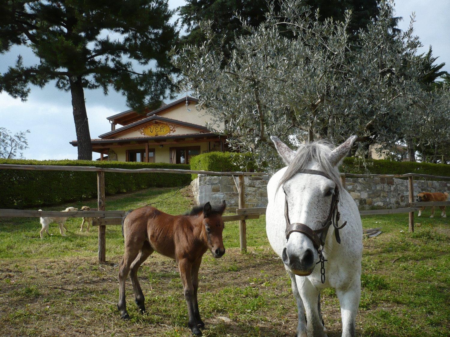 Agriturismo Villa Vea Bellosguardo Exterior foto